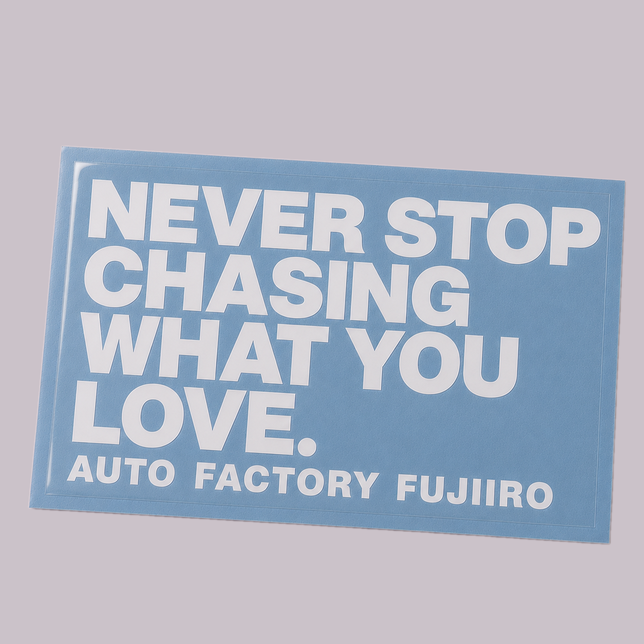 Never Stop Chasing What You Love white die-cut vinyl decal on store background
